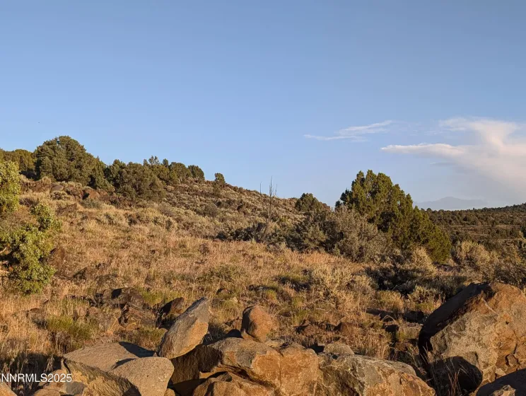 2980 Star, Reno, Nevada 89521, ,Land,Residential,Star,250052366