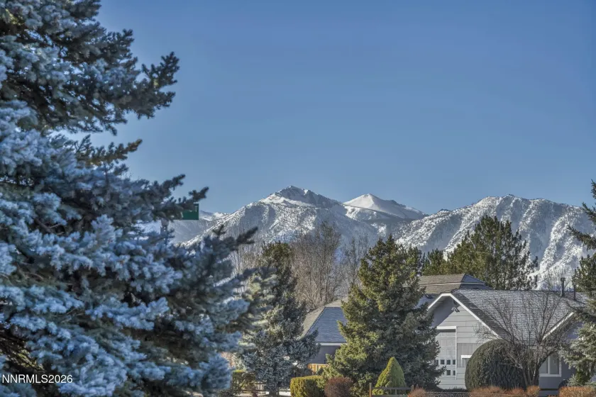 1317 Bridle, Minden, Nevada 89423, 3 Bedrooms Bedrooms, ,2 BathroomsBathrooms,Residential,Residential,Bridle,260000525