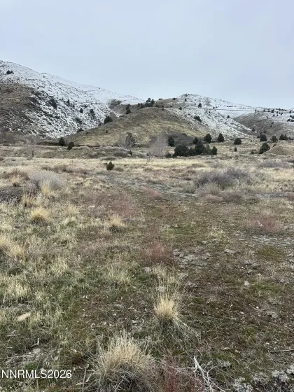 2000 US-395, Gardnerville, Nevada 89410, ,Land,Residential,US-395,260000635