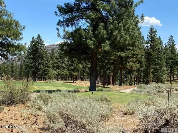 141 Walton Toll, Carson City, Nevada 89705, ,Land,Residential,Walton Toll,250053682