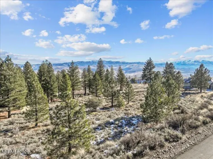 154 Antigua, Reno, Nevada 89511, ,Land,Residential,Antigua,260000648