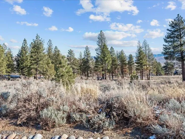 154 Antigua, Reno, Nevada 89511, ,Land,Residential,Antigua,260000648