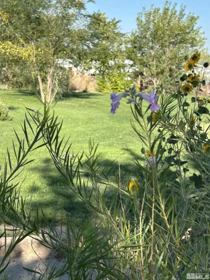 13200 Carson, Fallon, Nevada 89406, 3 Bedrooms Bedrooms, ,5 BathroomsBathrooms,Residential,Residential,Carson,240011432