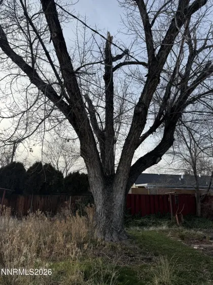 870 Capitol Hill, Reno, Nevada 89502, 3 Bedrooms Bedrooms, ,1 BathroomBathrooms,Residential,Residential,Capitol Hill,260000735