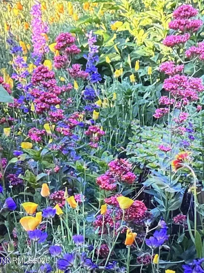 8560 Sirius, Reno, Nevada 89506, 4 Bedrooms Bedrooms, ,2 BathroomsBathrooms,Residential,Residential,Sirius,260000792