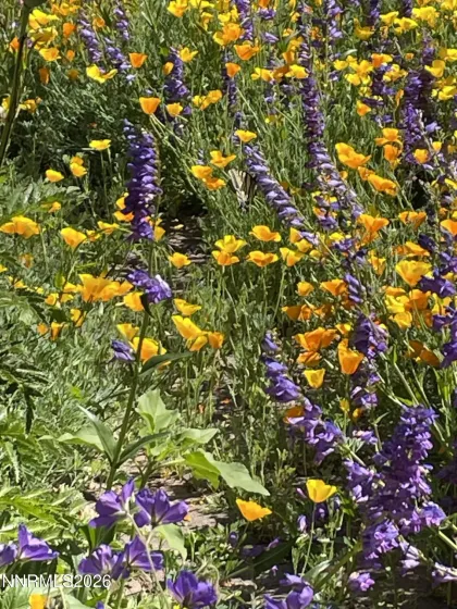 8560 Sirius, Reno, Nevada 89506, 4 Bedrooms Bedrooms, ,2 BathroomsBathrooms,Residential,Residential,Sirius,260000792