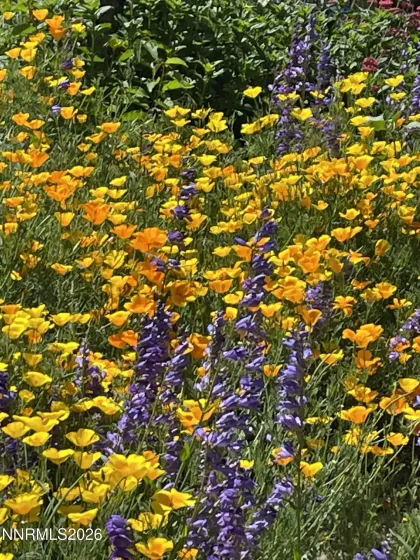 8560 Sirius, Reno, Nevada 89506, 4 Bedrooms Bedrooms, ,2 BathroomsBathrooms,Residential,Residential,Sirius,260000792