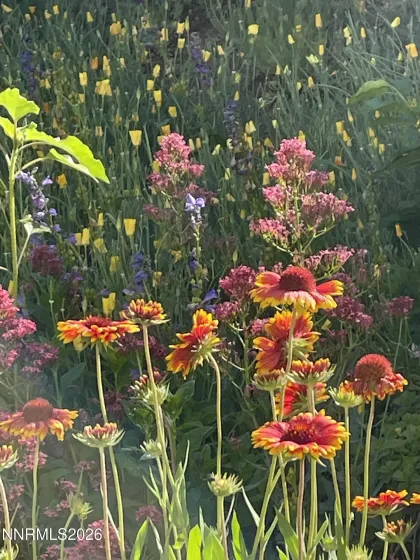 8560 Sirius, Reno, Nevada 89506, 4 Bedrooms Bedrooms, ,2 BathroomsBathrooms,Residential,Residential,Sirius,260000792