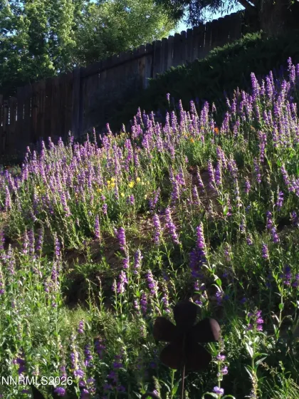 8560 Sirius, Reno, Nevada 89506, 4 Bedrooms Bedrooms, ,2 BathroomsBathrooms,Residential,Residential,Sirius,260000792