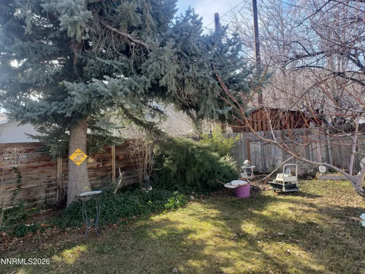 813 Fifth, Carson City, Nevada 89703, 3 Bedrooms Bedrooms, ,2 BathroomsBathrooms,Residential,Residential,Fifth,260000801