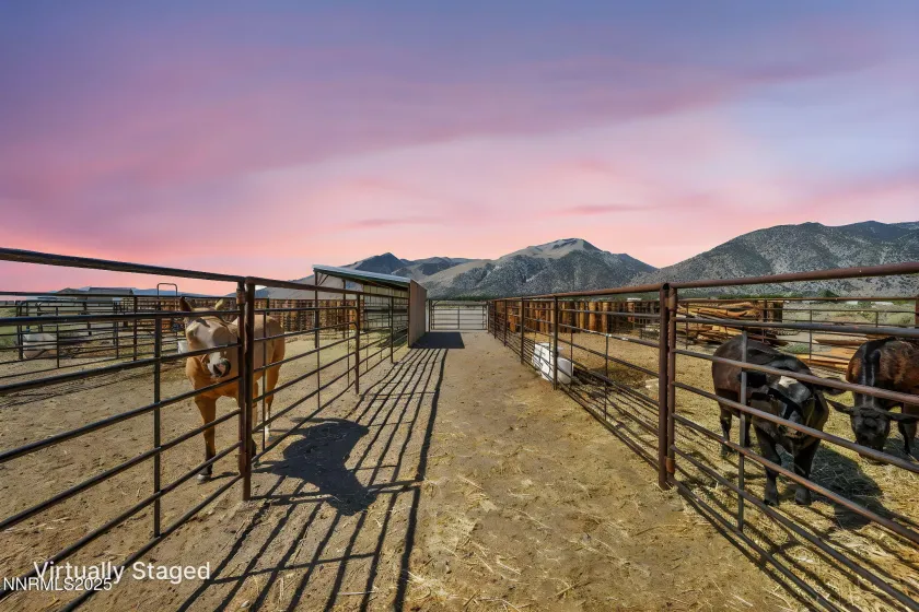 45 Madison, Smith Valley, Nevada 89430, 2 Bedrooms Bedrooms, ,1 BathroomBathrooms,Residential,Residential,Madison,260000809