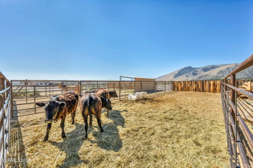 45 Madison, Smith Valley, Nevada 89430, 2 Bedrooms Bedrooms, ,1 BathroomBathrooms,Residential,Residential,Madison,260000809