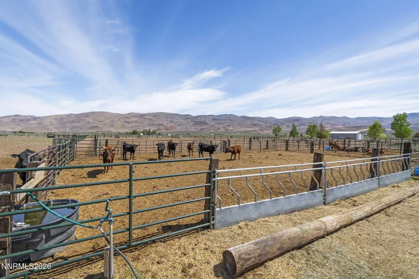 4800 Amy, Reno, Nevada 89510, 3 Bedrooms Bedrooms, ,3 BathroomsBathrooms,Residential,Residential,Amy,260000812