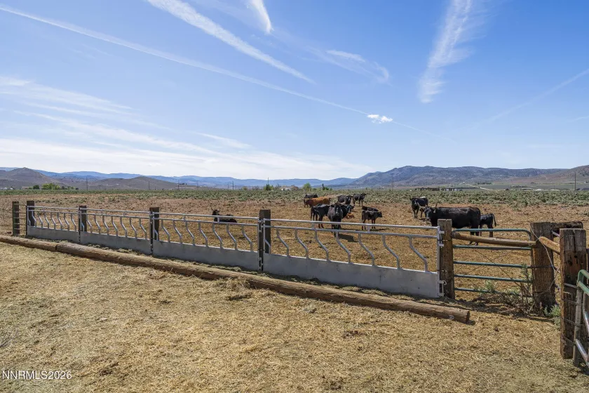 4800 Amy, Reno, Nevada 89510, 3 Bedrooms Bedrooms, ,3 BathroomsBathrooms,Residential,Residential,Amy,260000812