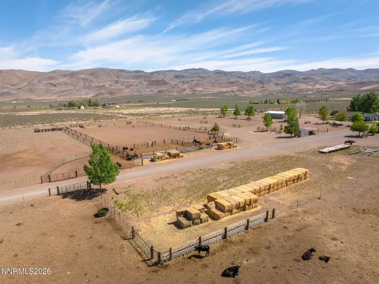 4800 Amy, Reno, Nevada 89510, 3 Bedrooms Bedrooms, ,3 BathroomsBathrooms,Residential,Residential,Amy,260000812