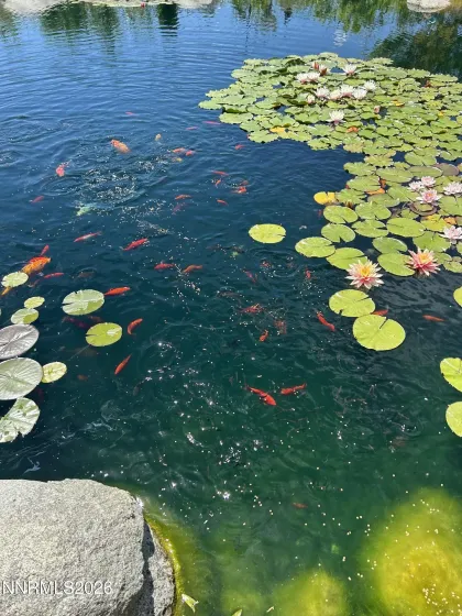 1238 Centerville, Gardnerville, Nevada 89460, 3 Bedrooms Bedrooms, ,2 BathroomsBathrooms,Residential,Residential,Centerville,260000815