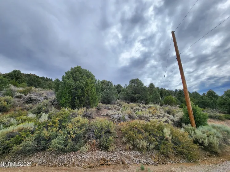 21915 Panhandle, Reno, Nevada 89521, ,Land,Residential,Panhandle,250053450