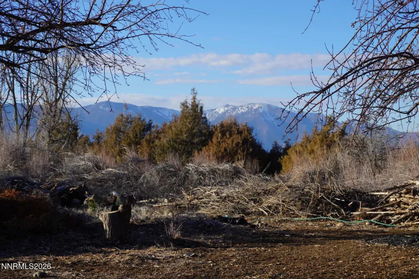 1430 Glenwood, Gardnerville, Nevada 89460, 3 Bedrooms Bedrooms, ,2 BathroomsBathrooms,Residential,Residential,Glenwood,260000879