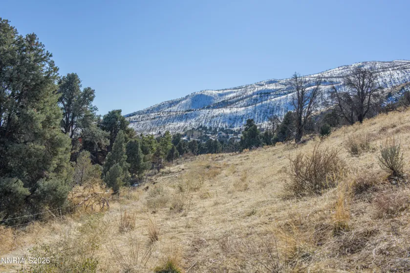 3221 Reese, Gardnerville, Nevada 89410, ,Land,Residential,Reese,0,260000897