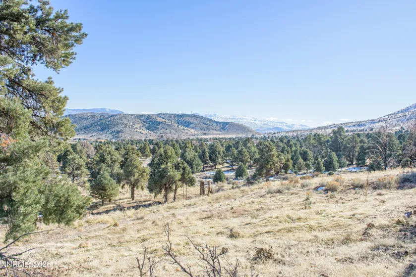 3221 Reese, Gardnerville, Nevada 89410, ,Land,Residential,Reese,0,260000897