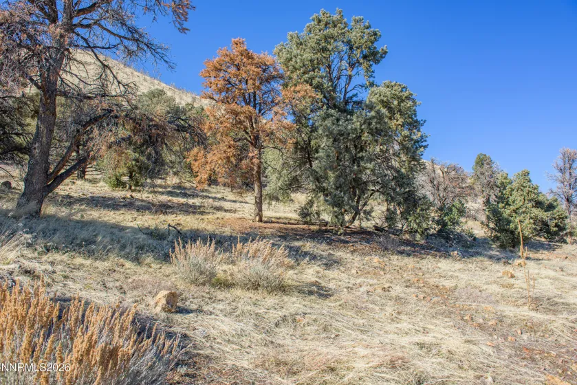 3221 Reese, Gardnerville, Nevada 89410, ,Land,Residential,Reese,0,260000897