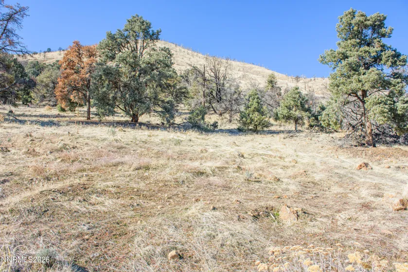 3221 Reese, Gardnerville, Nevada 89410, ,Land,Residential,Reese,0,260000897
