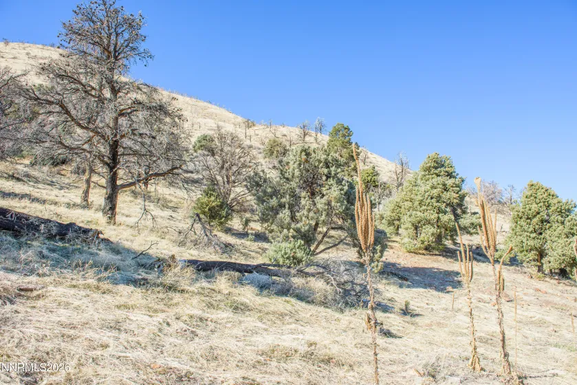3221 Reese, Gardnerville, Nevada 89410, ,Land,Residential,Reese,0,260000897