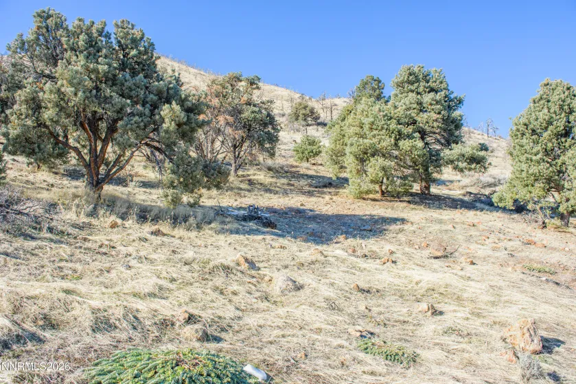 3221 Reese, Gardnerville, Nevada 89410, ,Land,Residential,Reese,0,260000897