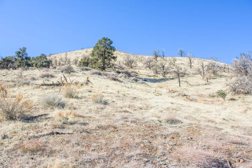 3221 Reese, Gardnerville, Nevada 89410, ,Land,Residential,Reese,0,260000897