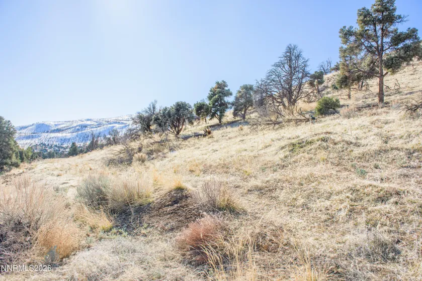 3221 Reese, Gardnerville, Nevada 89410, ,Land,Residential,Reese,0,260000897