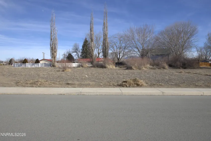 902 Whitacre, Yerington, Nevada 89447, ,Land,Residential,Whitacre,260000941