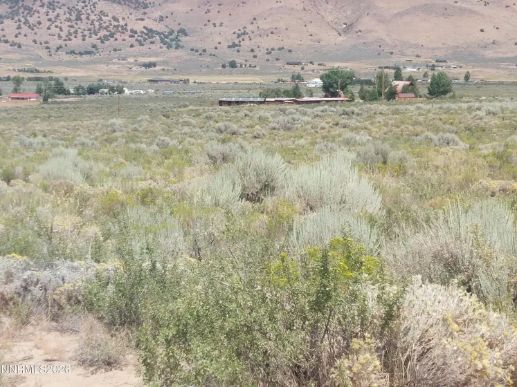 550 Appaloosa, Reno, Nevada 89508, ,Land,Residential,Appaloosa,260000947