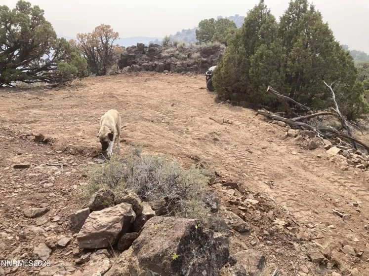 00 Microwave, Reno, Nevada 89510, ,Land,Residential,Microwave,260000951