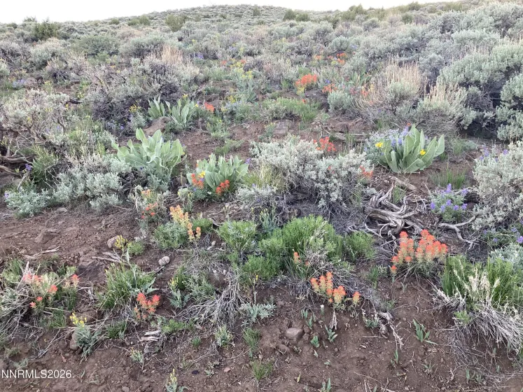 0000 Microwave, Reno, Nevada 89510, ,Land,Residential,Microwave,260000952