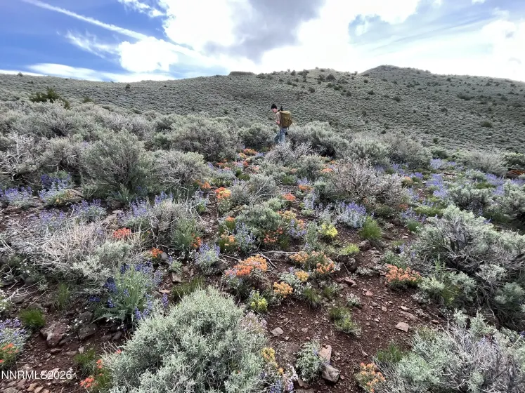 0 Microwave, Reno, Nevada 89510, ,Land,Residential,Microwave,260000953