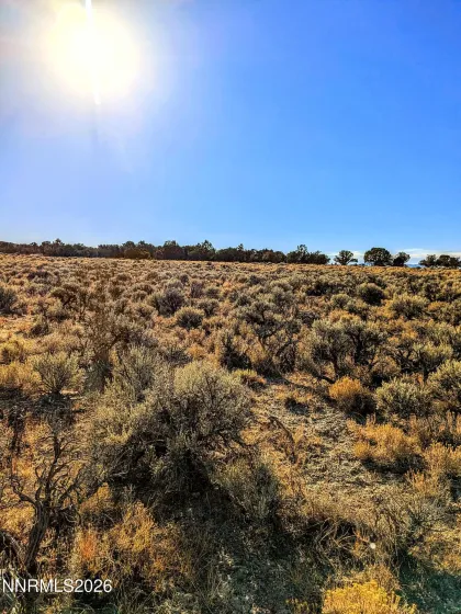 0 Twelvemile Cyn, Montello, Nevada 89830, ,Land,Residential,Twelvemile Cyn,0,260001012