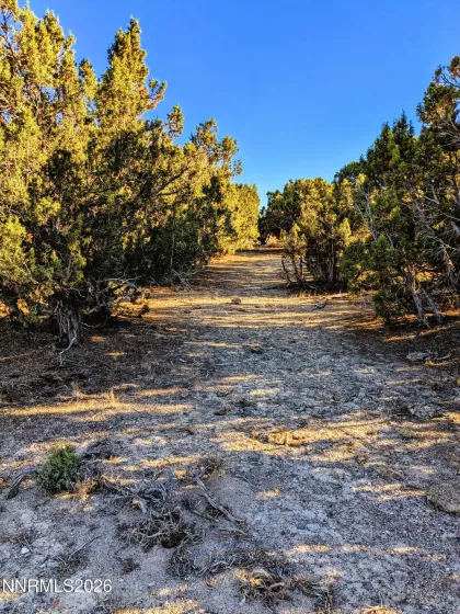 0 Twelvemile Cyn, Montello, Nevada 89830, ,Land,Residential,Twelvemile Cyn,0,260001012