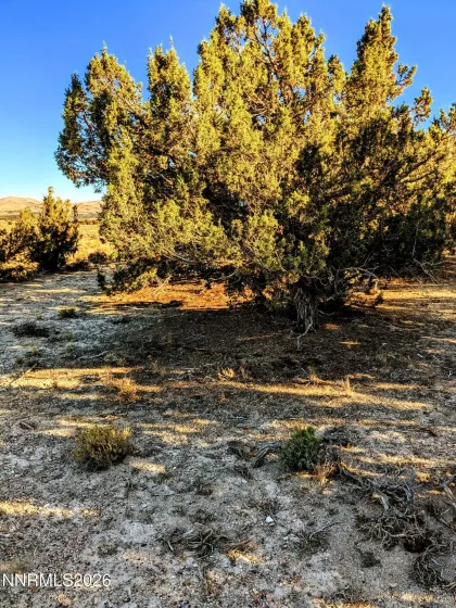 0 Twelvemile Cyn, Montello, Nevada 89830, ,Land,Residential,Twelvemile Cyn,0,260001012