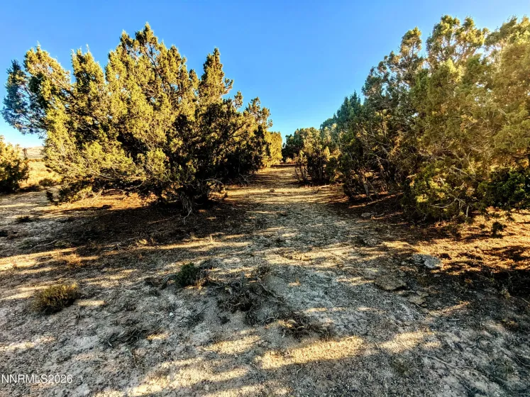 0 Twelvemile Cyn, Montello, Nevada 89830, ,Land,Residential,Twelvemile Cyn,0,260001012