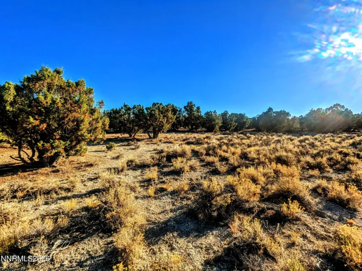 0 Twelvemile Cyn, Montello, Nevada 89830, ,Land,Residential,Twelvemile Cyn,0,260001012