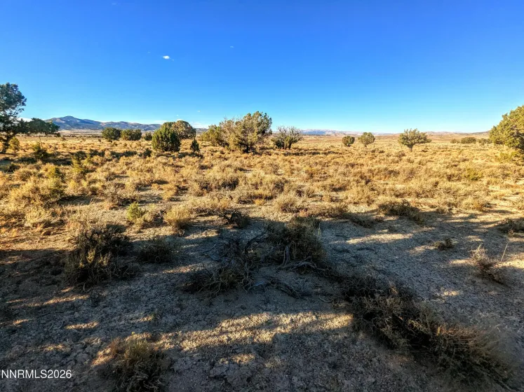 0 Twelvemile Cyn, Montello, Nevada 89830, ,Land,Residential,Twelvemile Cyn,0,260001012