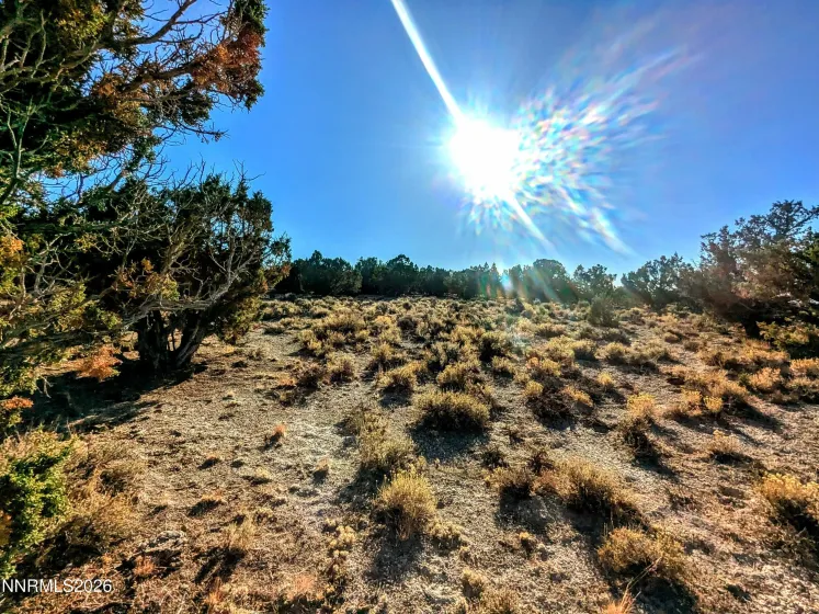 0 Twelvemile Cyn, Montello, Nevada 89830, ,Land,Residential,Twelvemile Cyn,0,260001012