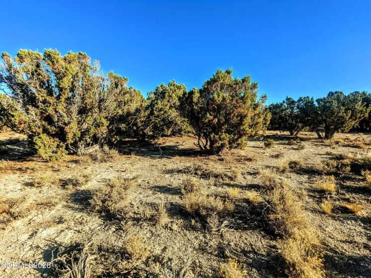 0 Twelvemile Cyn, Montello, Nevada 89830, ,Land,Residential,Twelvemile Cyn,0,260001012
