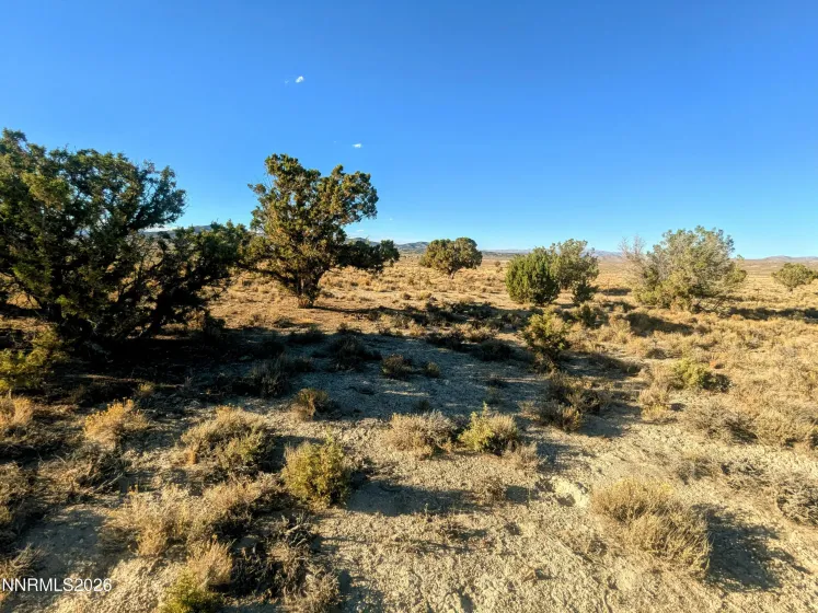 0 Twelvemile Cyn, Montello, Nevada 89830, ,Land,Residential,Twelvemile Cyn,0,260001012