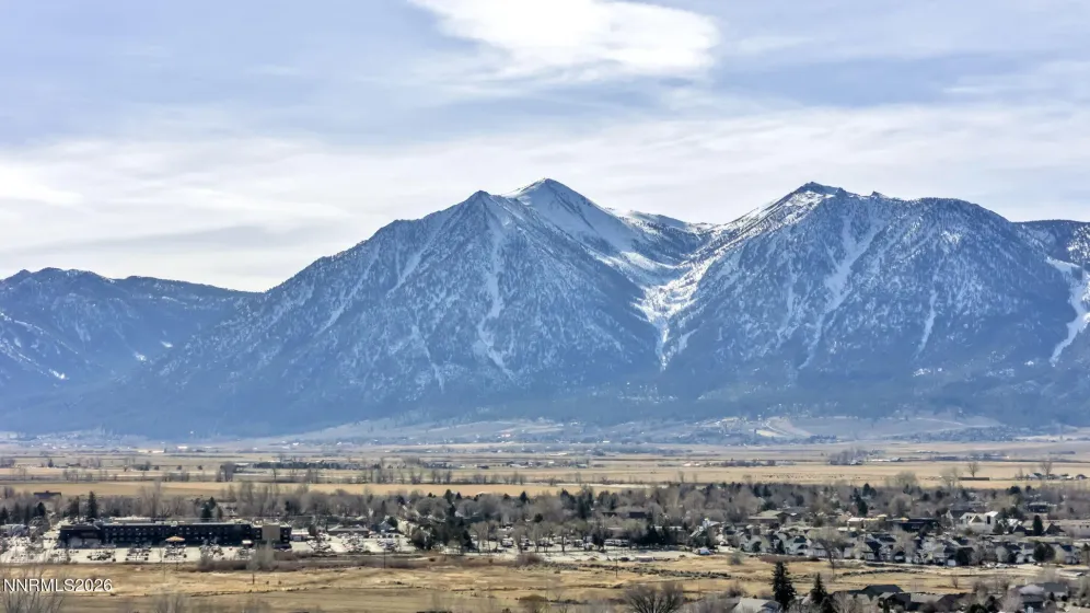 1768 Blue Spruce, Minden, Nevada 89423, 3 Bedrooms Bedrooms, ,2 BathroomsBathrooms,Residential,Residential,Blue Spruce,260001037