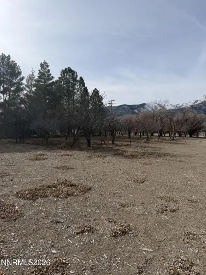 1199 Manley, Round Mountain, Nevada 89045, 3 Bedrooms Bedrooms, ,2 BathroomsBathrooms,Residential,Residential,Manley,260001041