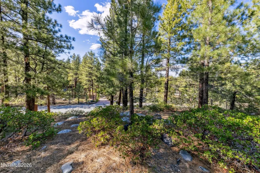 1205 Douglas Fir, Reno, Nevada 89511, ,Land,Residential,Douglas Fir,0,260001048