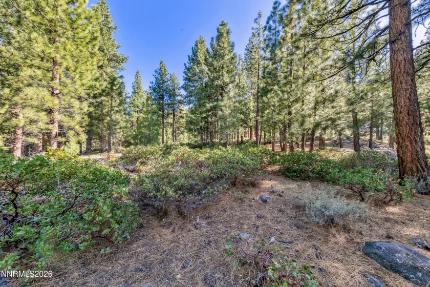 1205 Douglas Fir, Reno, Nevada 89511, ,Land,Residential,Douglas Fir,0,260001048