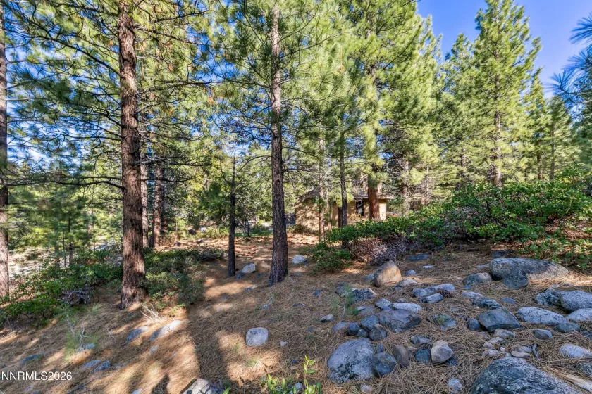 1205 Douglas Fir, Reno, Nevada 89511, ,Land,Residential,Douglas Fir,0,260001048
