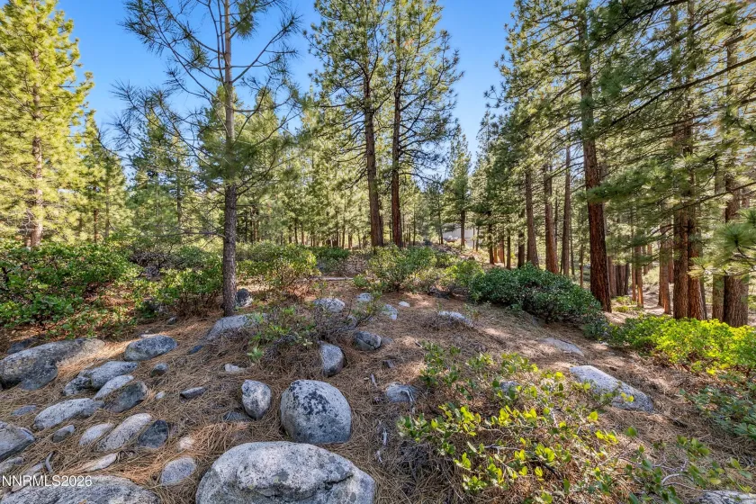 1205 Douglas Fir, Reno, Nevada 89511, ,Land,Residential,Douglas Fir,0,260001048